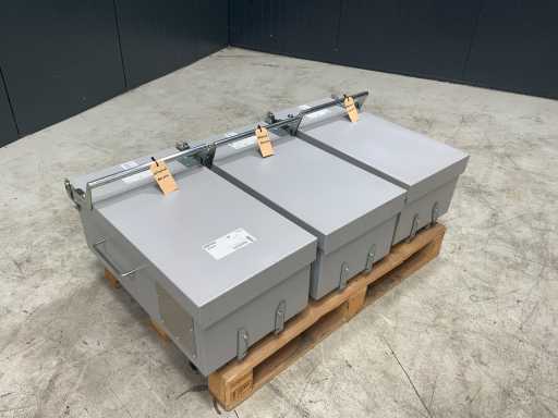 Zucchini Current branch box 250A (3x)