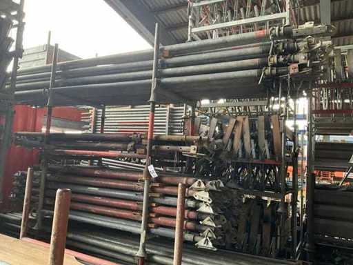 Lăstari de susținere în Barele (4x)