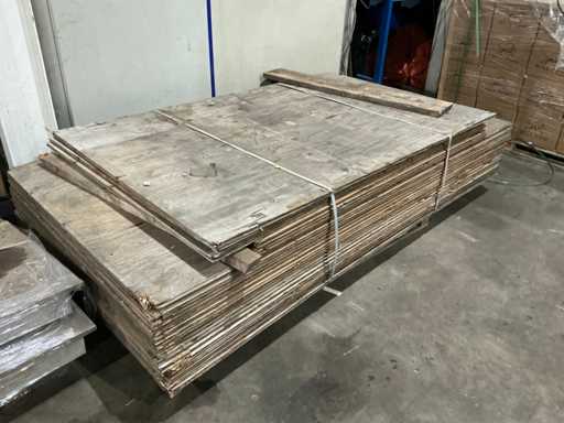 Placă de bază (24x)