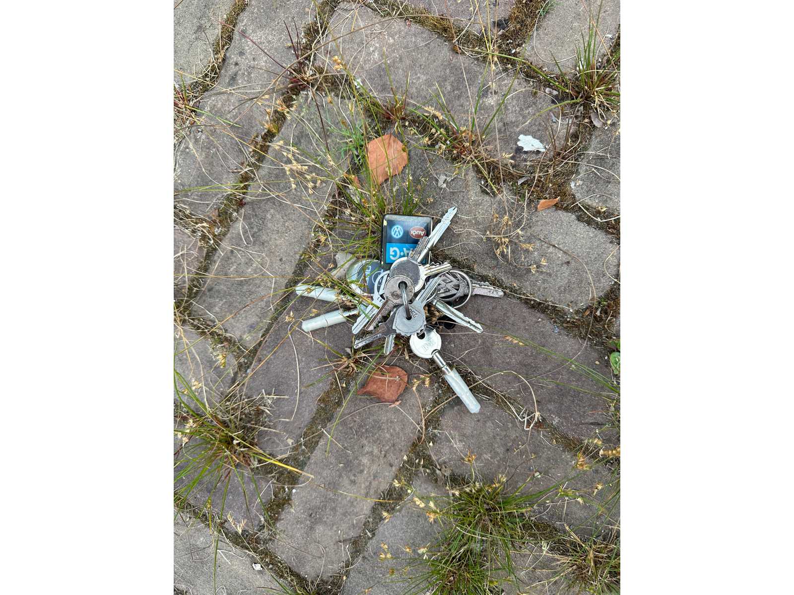 Opel Blitz 1.75 T BE Bolkop 2,5 L55-09590L Camper (Brandweerwagen) 1955, 61-TB-40