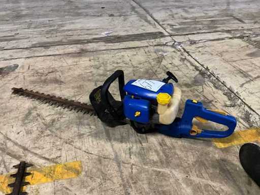 Einhell BHS 26 Snoeigereedschap