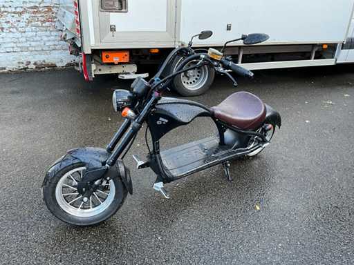 Mangosteen Super-Elektrofahrrad