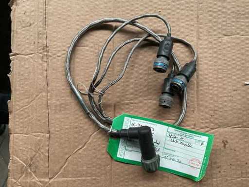 Faisceau de fils ramifié