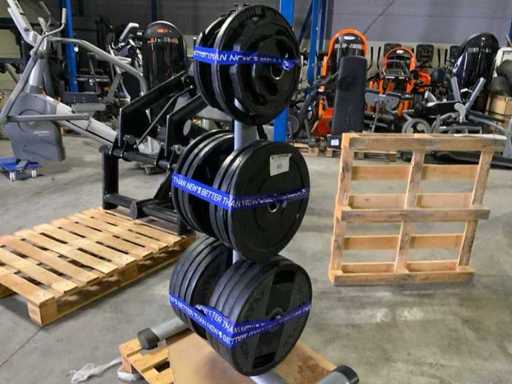 Diversen 50mm schijven 250kg met rek Krachtstation