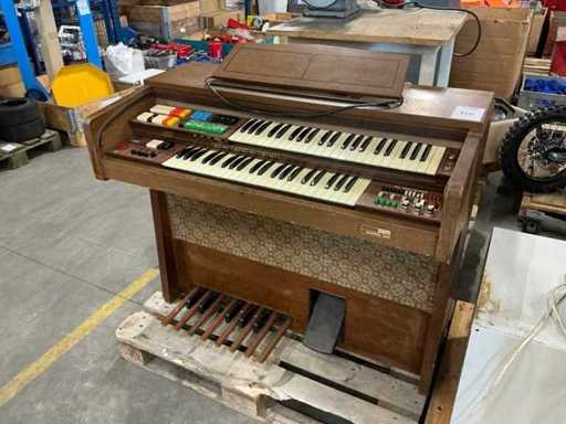 Orga Vrăjitorilor Gemă 335