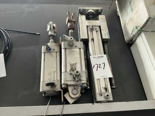 Festo Pneumatic work cylinder (3x)