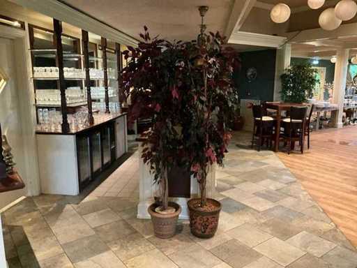 Artificial plants in pots (2x)