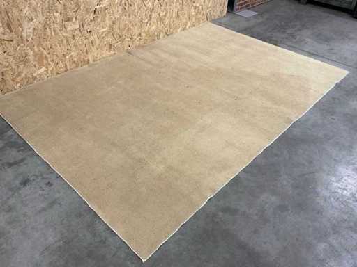 Bear rug