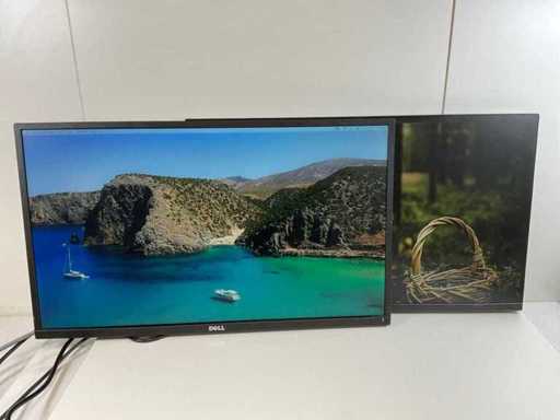 Dell Mix Model Monitors - Check Description (2x)