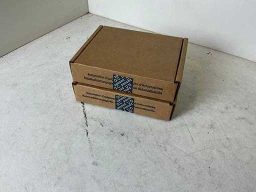 Schneider A120-Compact AS-BDAU-204 4-Channel Analog Output Module (2x)