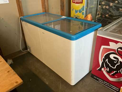 Liebherr GTE 5002 Index 21C/328 Freezer Case