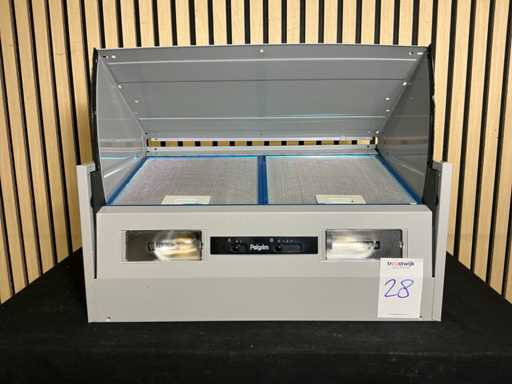 Pelgrim GWA820RVS Hotte extractrice intégrée