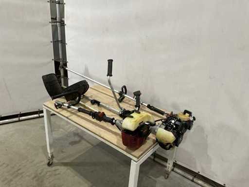 Bosmaaier (3x)