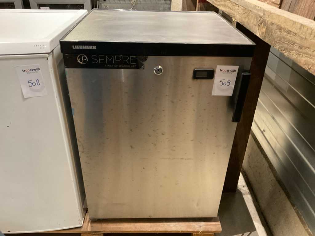 Réfrigérateur Liebherr FKvesf1805