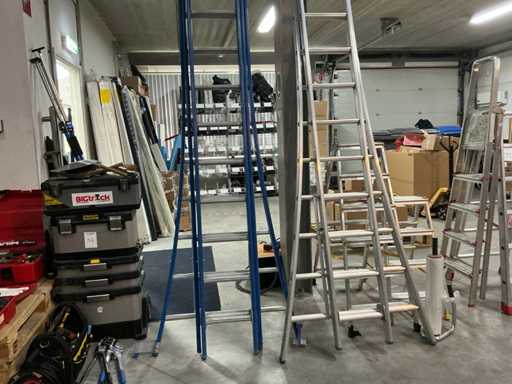 Safescaffold Ladder