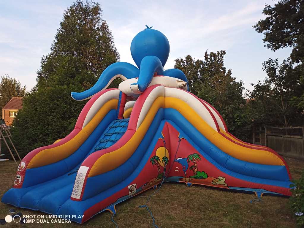 Bouncy Castle Octopus