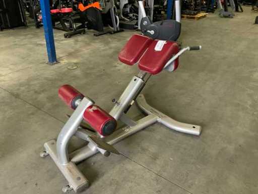 Centrale d’hyperextension Life Fitness Signature