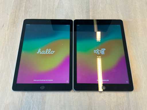 Tablet Apple Ipad 6. generacji (32 GB, Wi-Fi + sie? komórkowa) (2x)