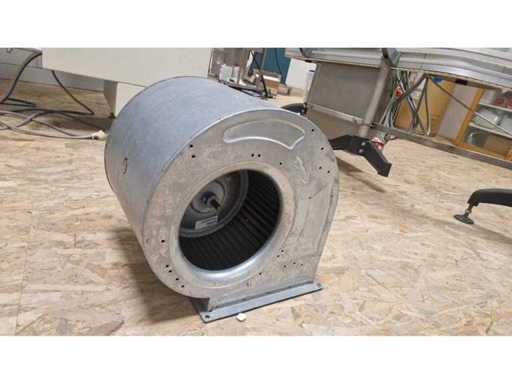 Fan