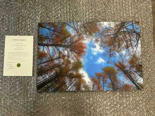 Stampa "Vista della rana autunno"