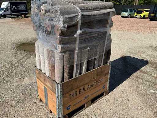 PALLETDEAL różne kolory dywanów 150 x 100 cm