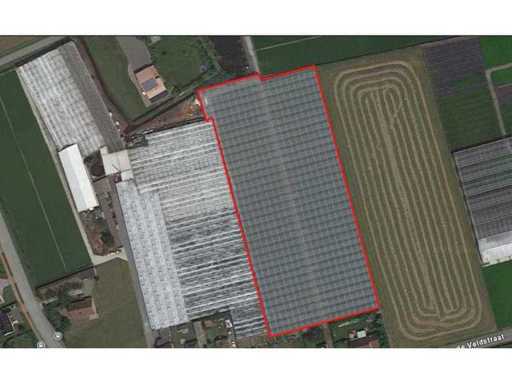 2016 Vd heuvel Nursery/serre à feuilles d’aluminium (11 228 m2)