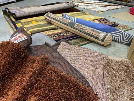 Różne dywany (22x)