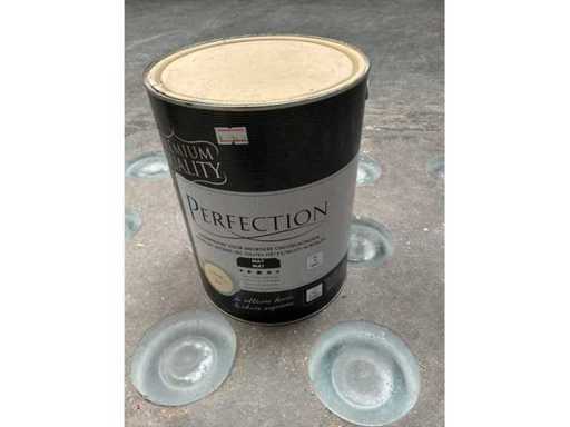 Vasetti di vernice Perfection (5 volte)