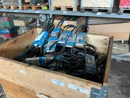 Partij SKF multi-riemen