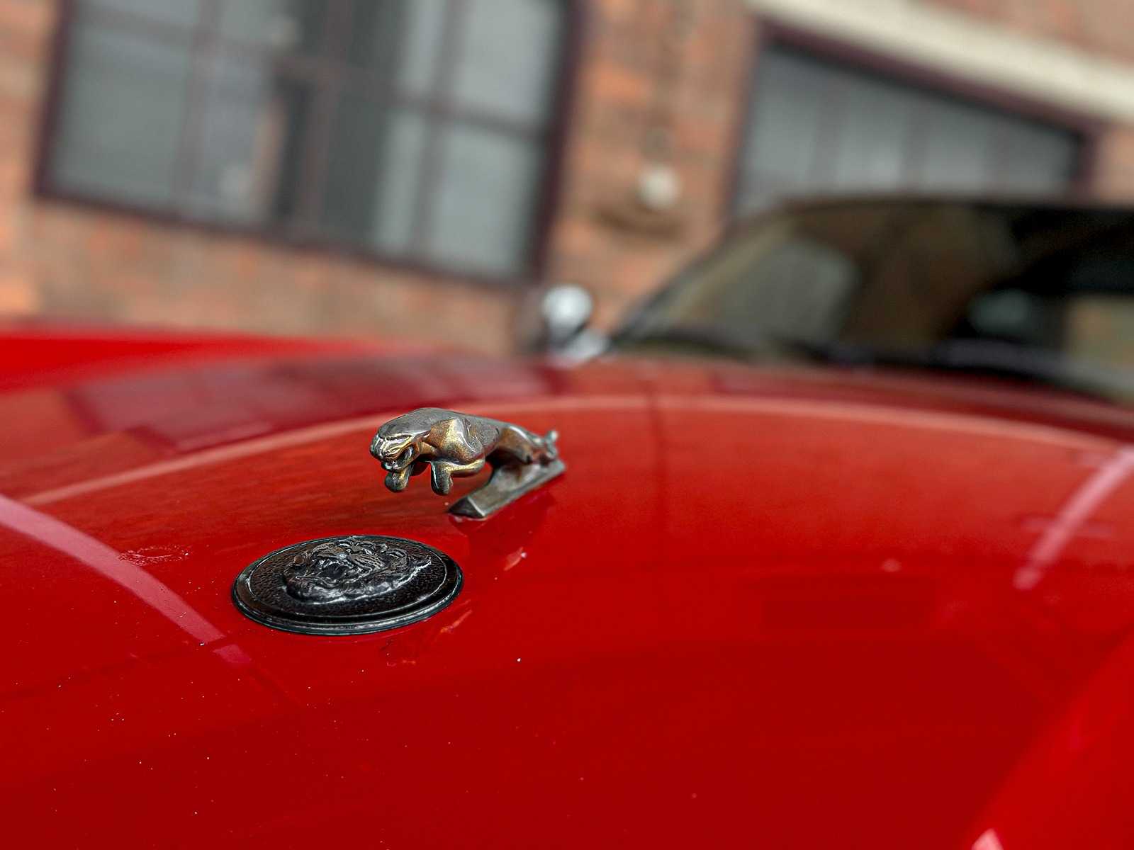 Jaguar XJS Cabriolet 5,3 V12 266 PS 1992