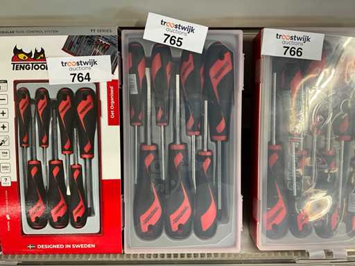 Set di cacciaviti Tengtools