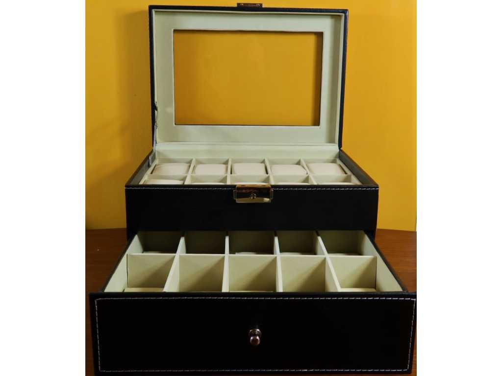Luxury Watch Case - 20 pieces 