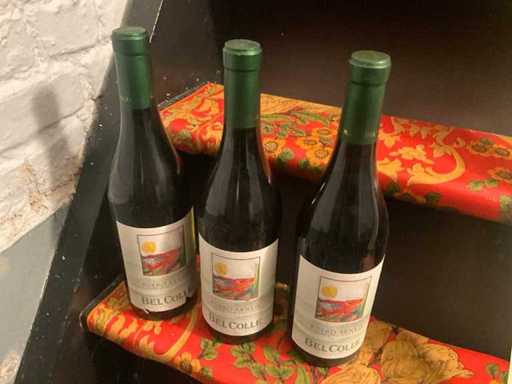 2007 Roero Arneis Bel Colle Witte wijn (3x)