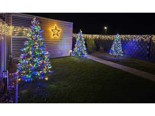 Brad de Cr?ciun 210 cm în?l?ime.