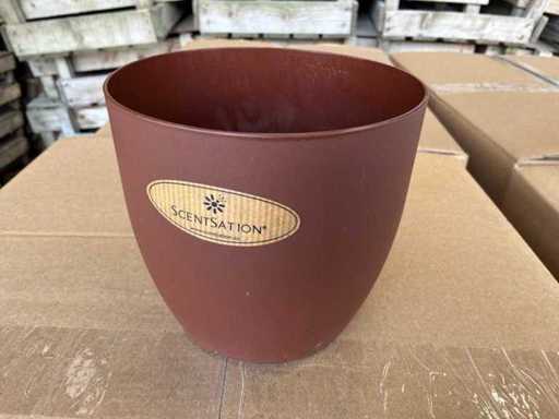 Ghiveci cu flori ScentSation (317x)