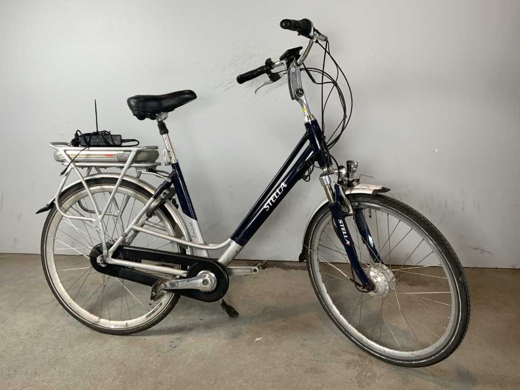 Elektrofahrrad