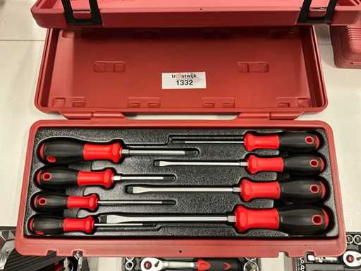 Set di cacciaviti Seneca