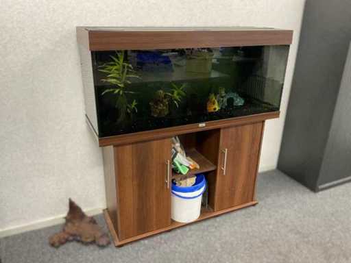 Acquario di Juwel con accessori