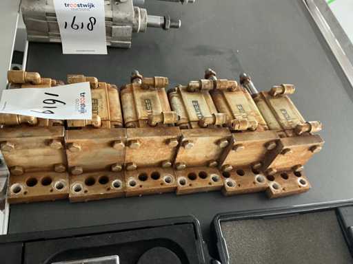 Festo Pneumatische werkcilinder