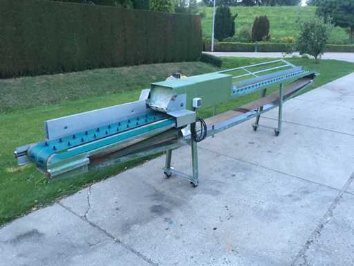 Maszyna do sortowania szparagów