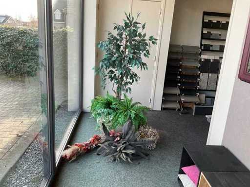 Plantă de decor și flori