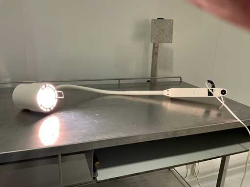 Derungs Halux 50 P SX Kalte Lampe