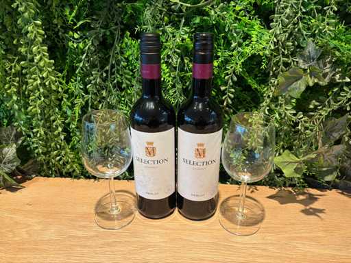 Butelka czerwonego wina (11x)