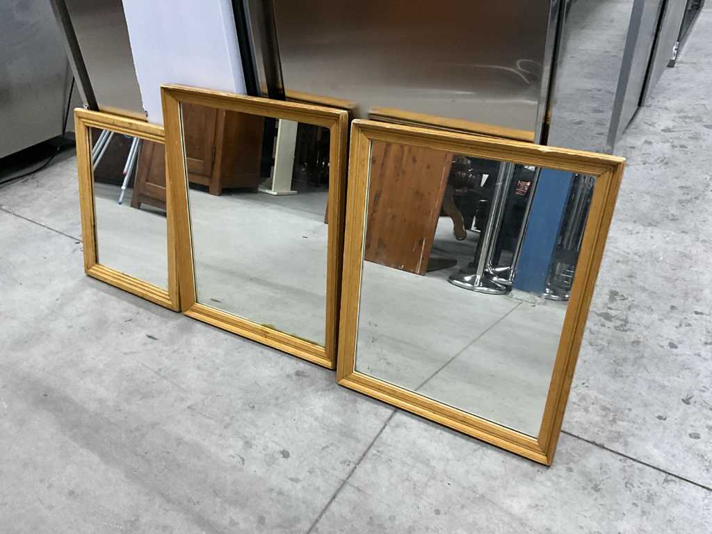 spiegels (3x)