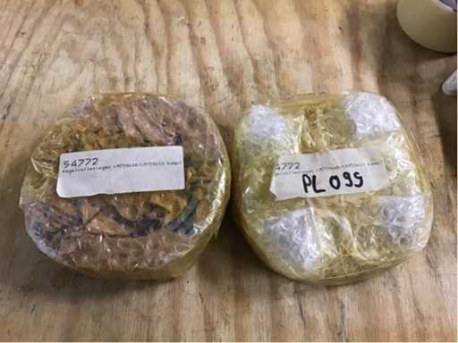 Cuscinetti a rulli conici