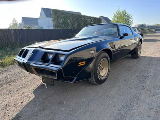 1981 Pontiac Transam Turbo