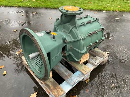 Caprari MEC-MG80 4/4a Bewässerungspumpe