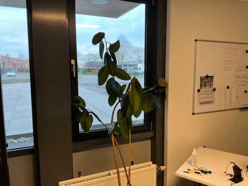 Planten met pot (6x)