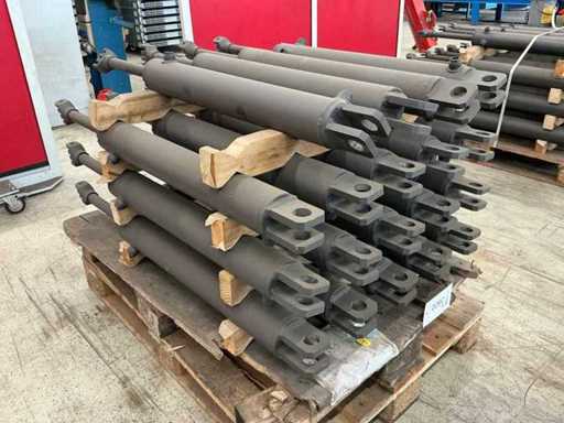 Hydraulikzylinder (19x)
