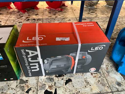 Pompa dell'acqua Leo AJM90